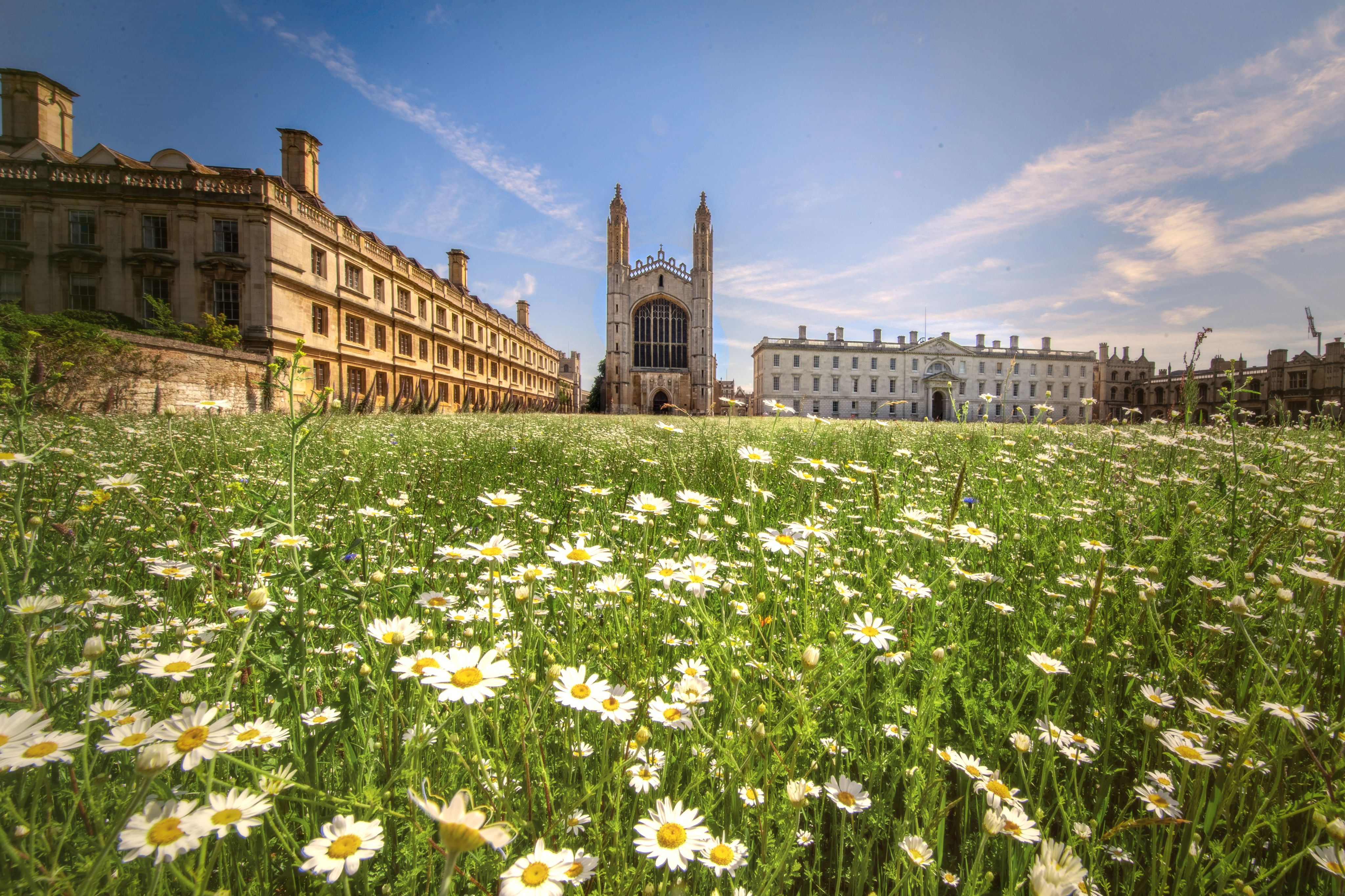 Decorative landscape image